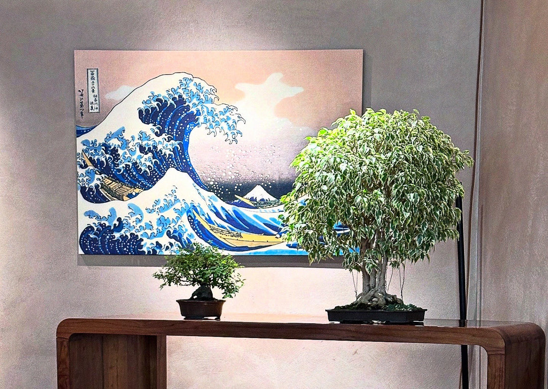 Bonsai Culinari Tour, un viaggio tra Oriente e natura a Biella