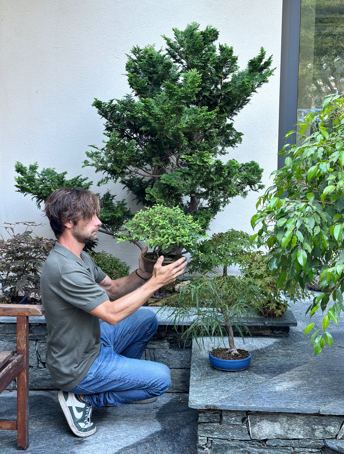 Lavori bonsai a settembre: vigore, conifere e ripresa dopo l’estate