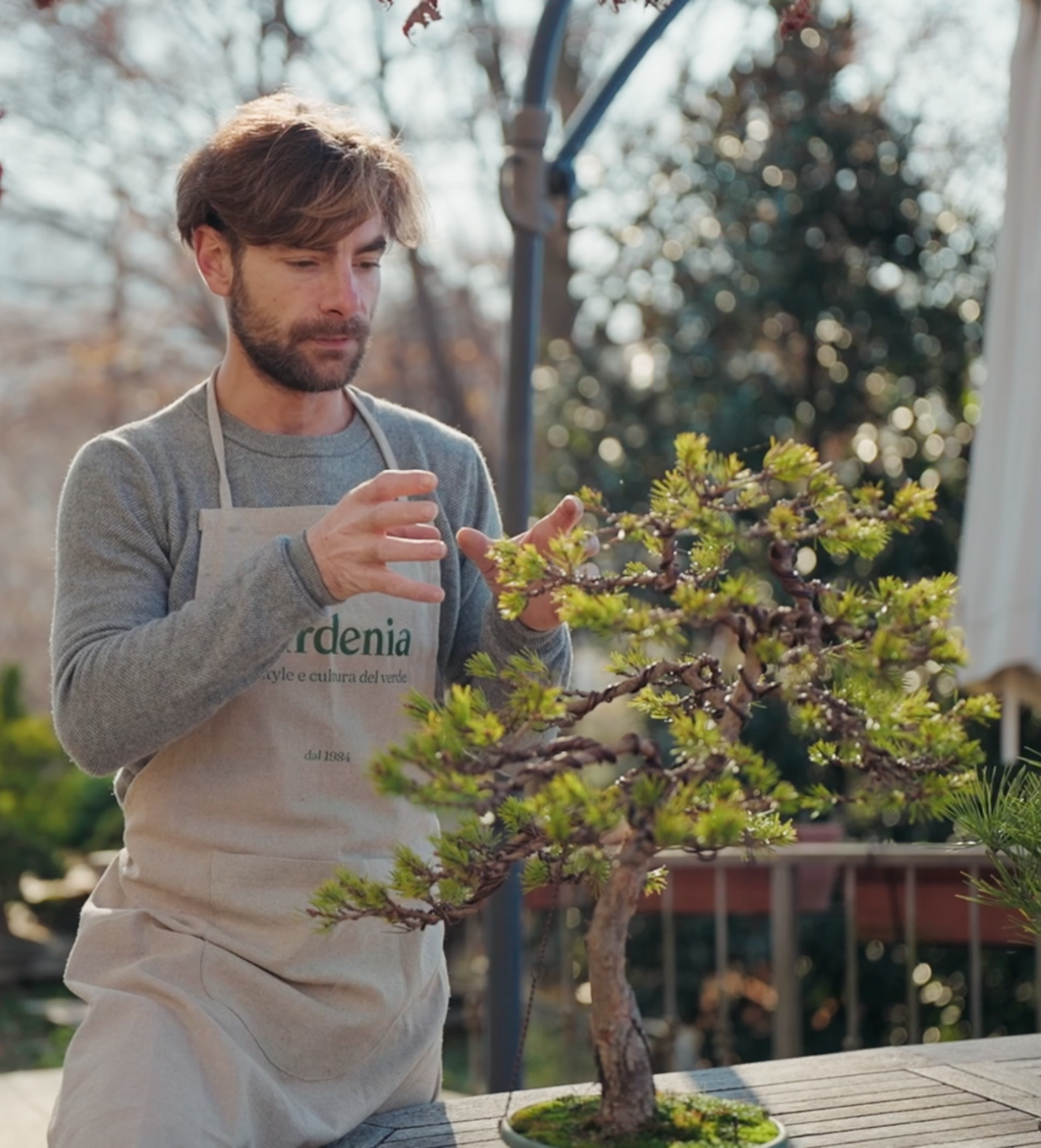 Imparare il bonsai, sul campo.